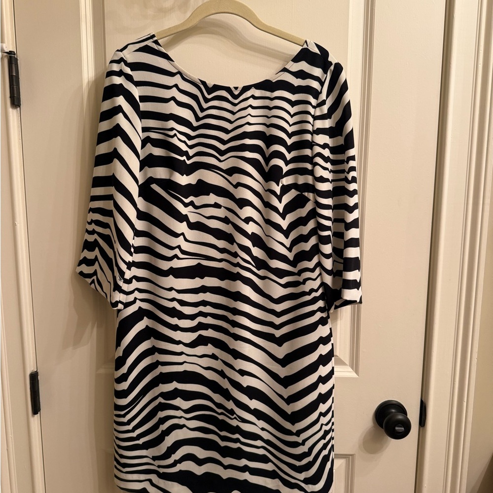 Black & White Zebra Stripe Shift Dress